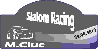SLALOM RACING CUPA M.CIUC I